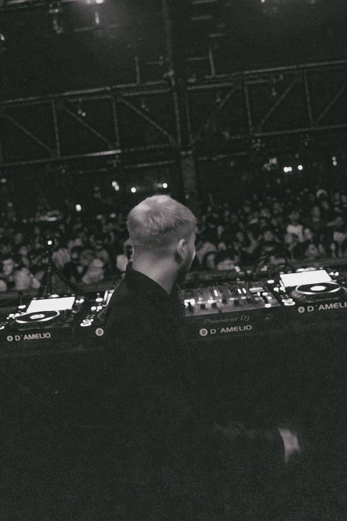 Live — D'Amelio 2025