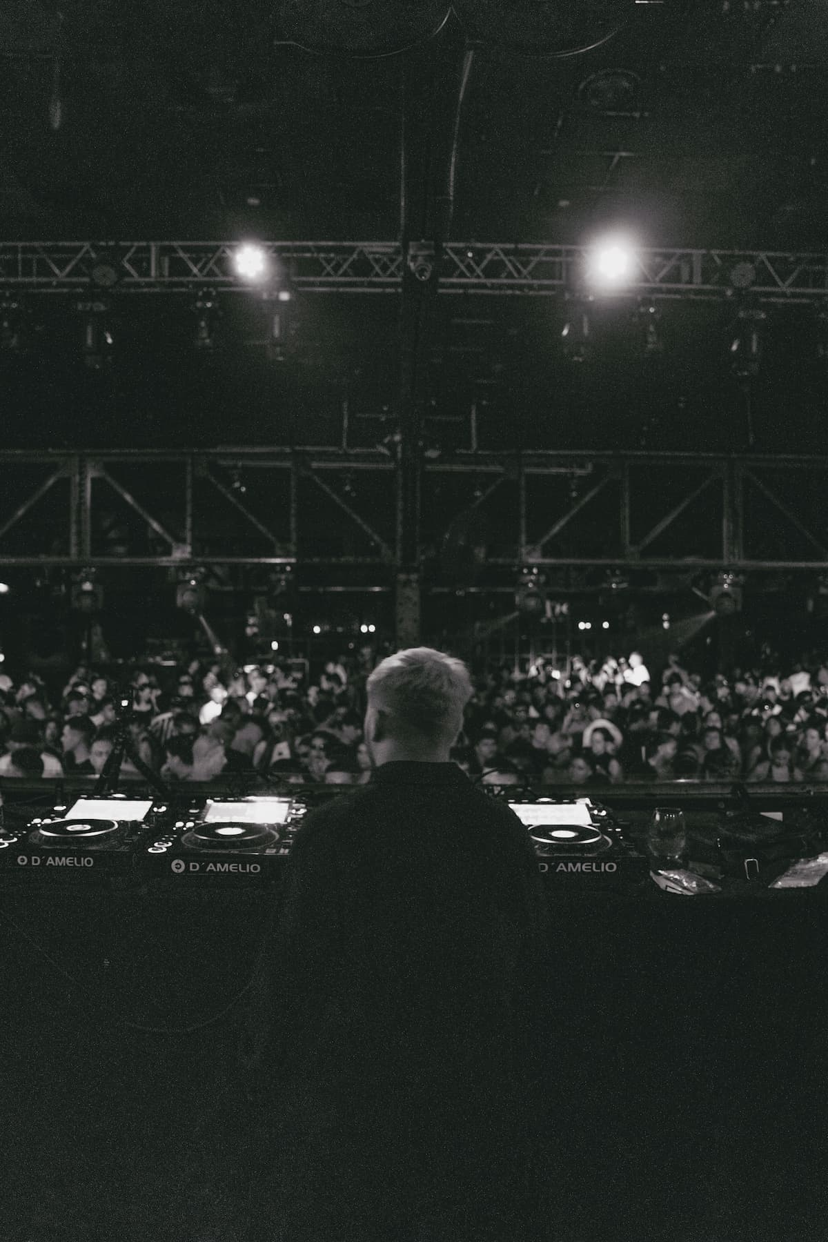 Live — D'Amelio 2025