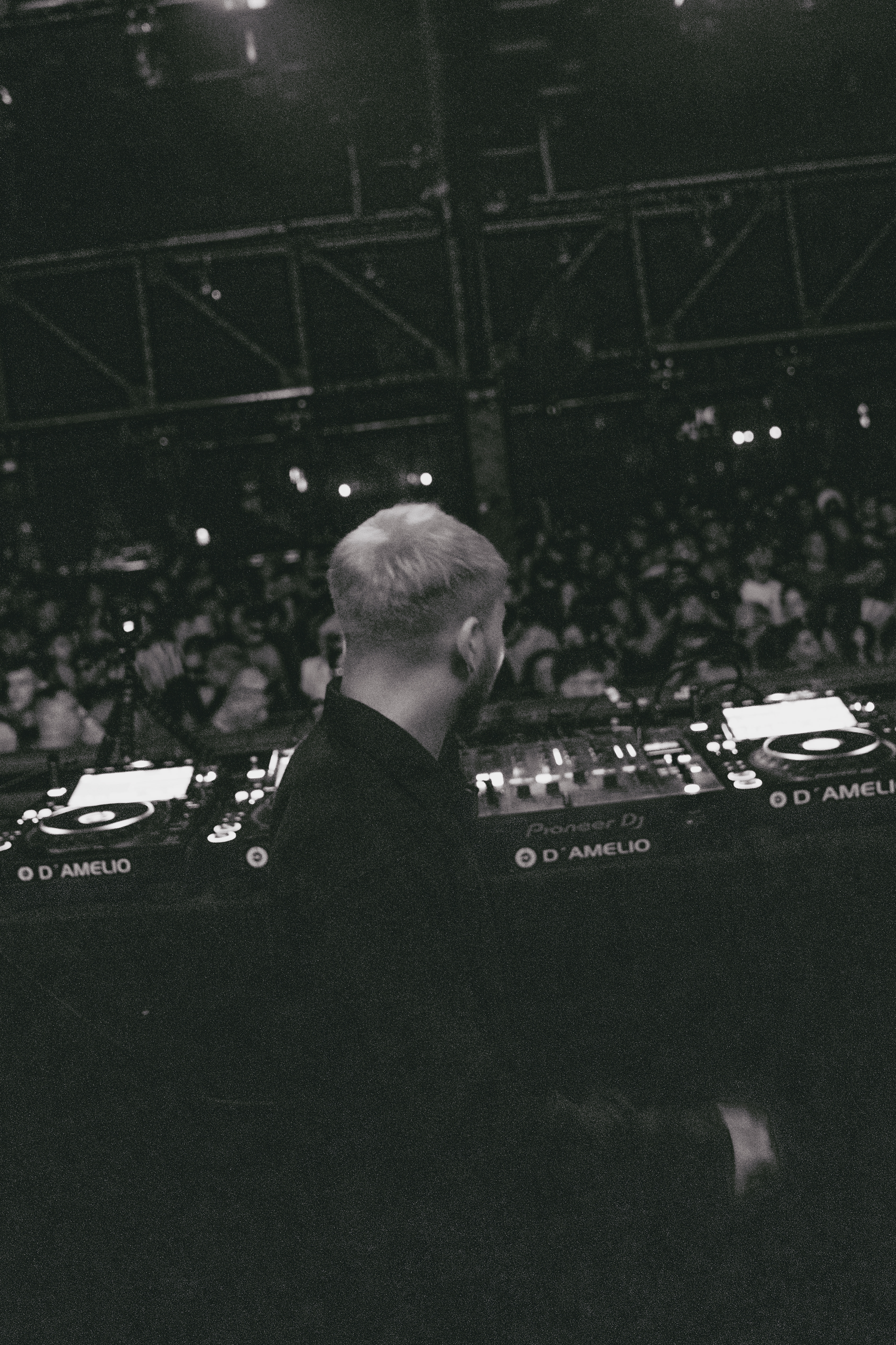 Live — D'Amelio 2025